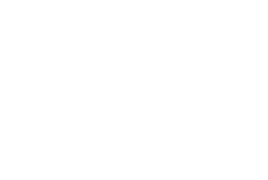 Auckland Delivery
