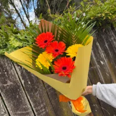 Gift Wrapped Gerbera Stems