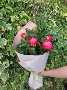 5-gorgeous-Peony-stems