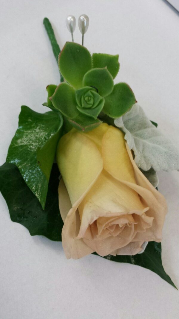 BALL SEASON BUTTON HOLES - Image 4