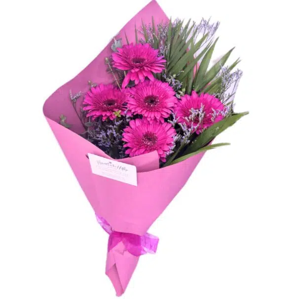 Gift Wrapped Gerbera 5 Stems Gift Wrapped Gerbera Stems