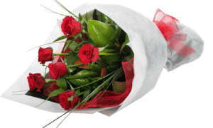 Half-Dozen-Red-Roses