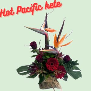 Hot Pacific Kete