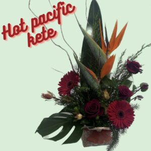 Hot Pacific Kete