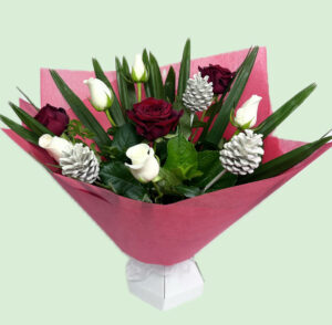 Red And White Sheer Delight