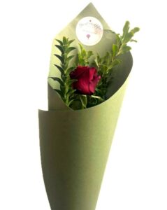 Single gift wrapped rose