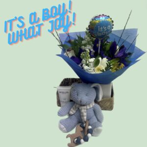 IT'S A BOY! WHAT JOY!
