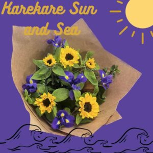 Karekare Sun and Sea