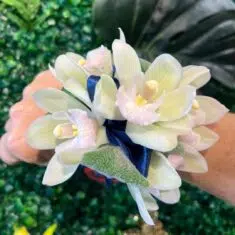 Wrist Corsage of Mini White Orchids