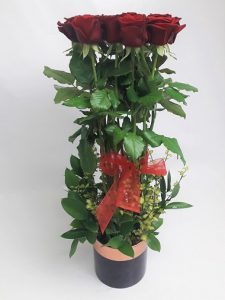 One Doz 50cm Red's Arrangement