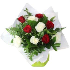 Red And White Sheer Delight