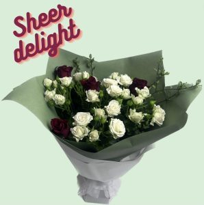 Red And White Sheer Delight