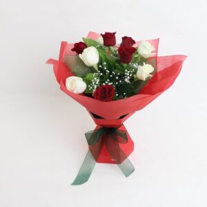 Red & White Roses Sheer Delight