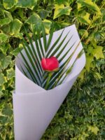 Single-peony-stem
