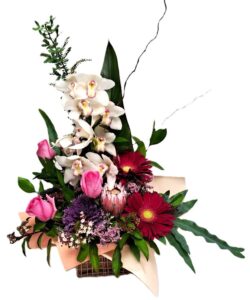 Waitakere Winter Arranagement