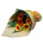 Gift Wrapped Gerbera Stems