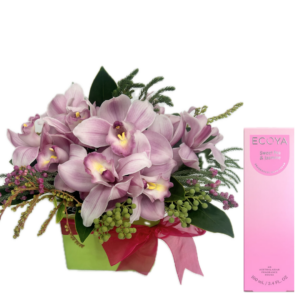 Orchids in a Gift Box.