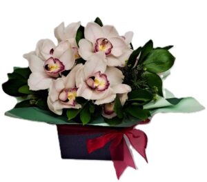 Orchids in a Gift Box