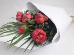 5 Lush Paeony