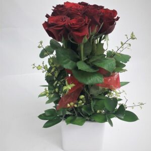 One Doz Reds 40cm Arrangement