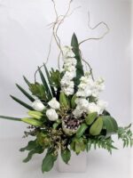 Greens and whites Protea Delights
