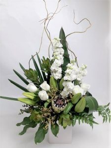 Greens and whites Protea Delights
