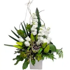 Greens & Whites Protea Delight’s