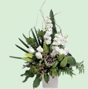 Greens & Whites Protea Delight's