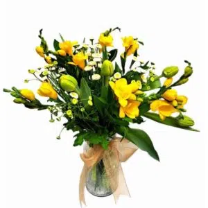 Spring Delight Tulips & Freesia