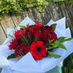 Burgundy Red Posy Of Flowers