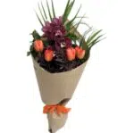 Burst of Spring Colour