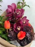 Burst of Spring Colour