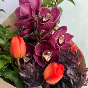 Burst of Spring Colour