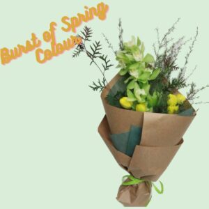 Burst of Spring Colour