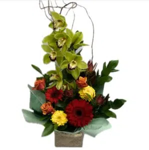 Waitakere Summer Arrangement