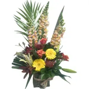 Waitakere Summer Arrangement
