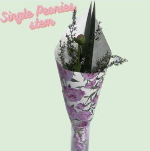 Single Stem Peonie