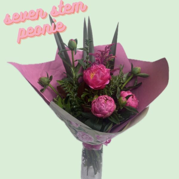SEVEN STEM PEONIE SEVEN STEM PEONIE