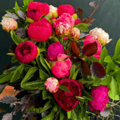 Peonies Floral Bouquet