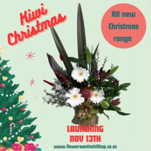 kiwi christmas countdown