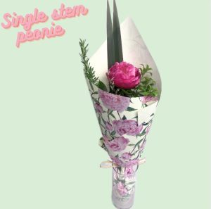 single stem peonie