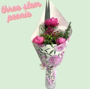 three Peonie Stem