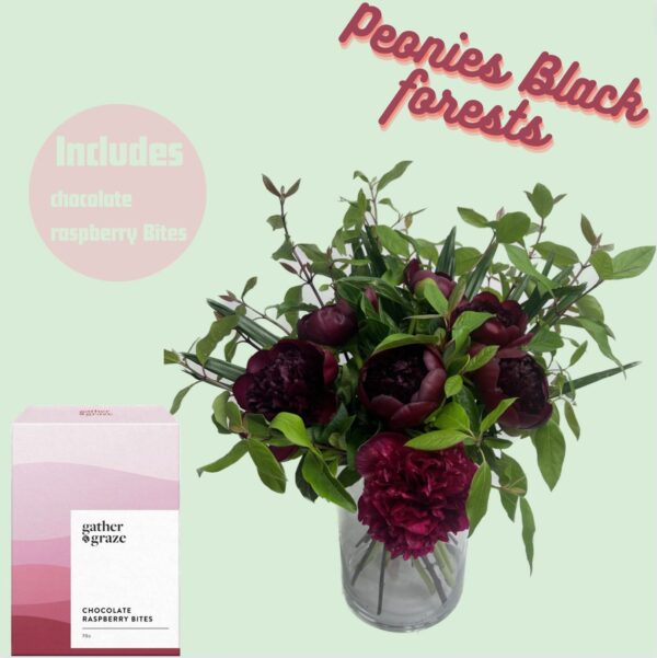 Peonies Black Forrest Peonies Black Forrest
