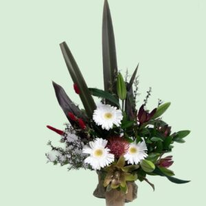 Kiwi Christmas Arrangements