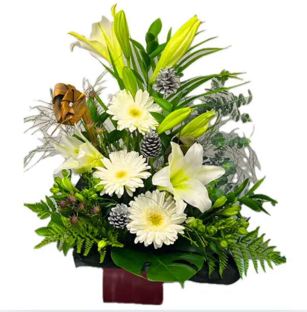 Kiwi Christmas Arrangement Kiwi Christmas Arrangement