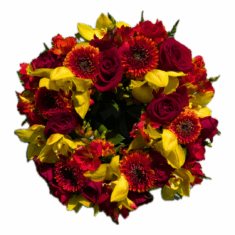 Bright Wreaths Small Medium & Large