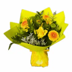 Friendship Valentino