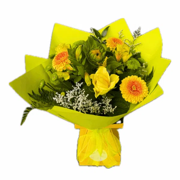 5 Friendship Valentino - Image 1