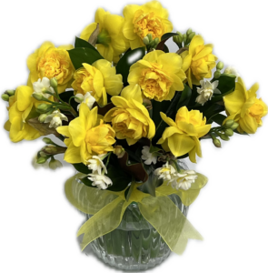 Daffodil Spring Posy