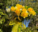 Daffodil Spring Flower Posy